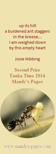 2nd Prize: Josie Hibbing