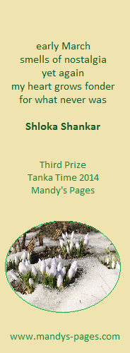 3rd Prize: Shloka Shankar