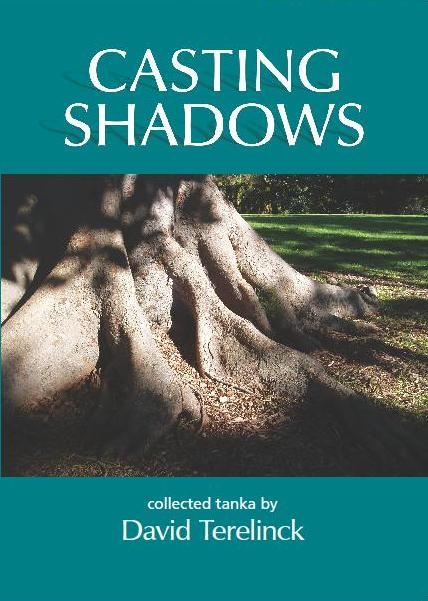 Casting Shadows by David Terelinck