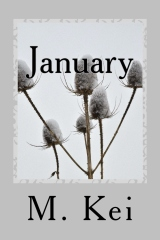 January, A Tanka Diary