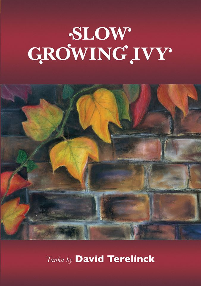 Slow Growing Ivy, by David Terelinck