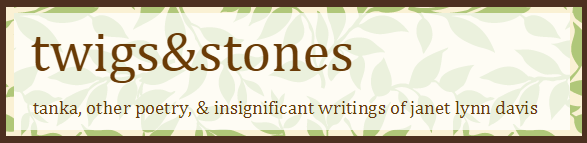 twigs&stones