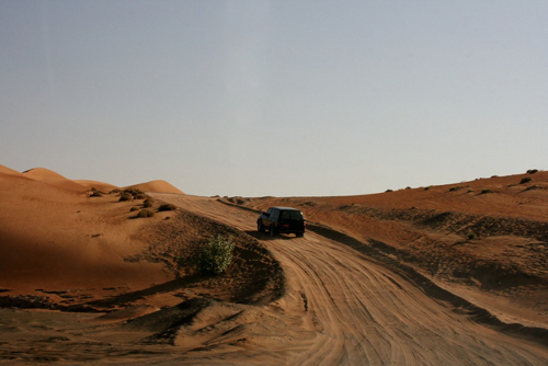 Driving Through Unfamiliar Desert Terrain