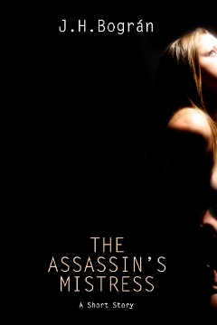 Book cover image of The Assassin's Mistress